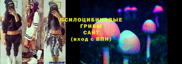 эйфоретик Горняк