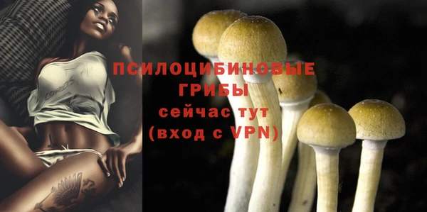дмт Горнозаводск