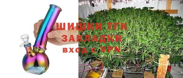 эйфоретик Горняк